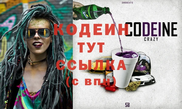 индика Заводоуковск