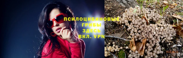 трава Абаза