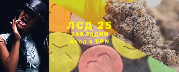ГАЛЛЮЦИНОГЕННЫЕ ГРИБЫ Алексин