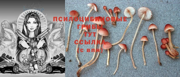 ГАЛЛЮЦИНОГЕННЫЕ ГРИБЫ Алексин