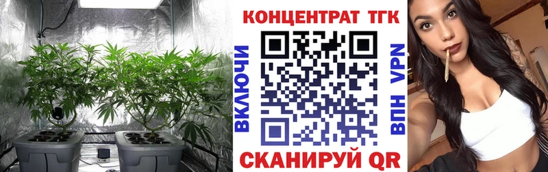 Дистиллят ТГК вейп с тгк  даркнет сайт  даркнет состав  Минусинск 